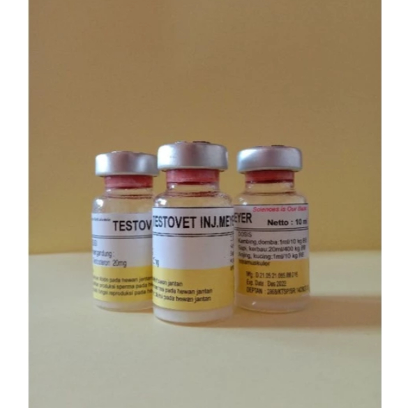 Hormon Testosteron- Perangsang Birahi Libido Hewan Jantan - TESTOVET INJ MEYER