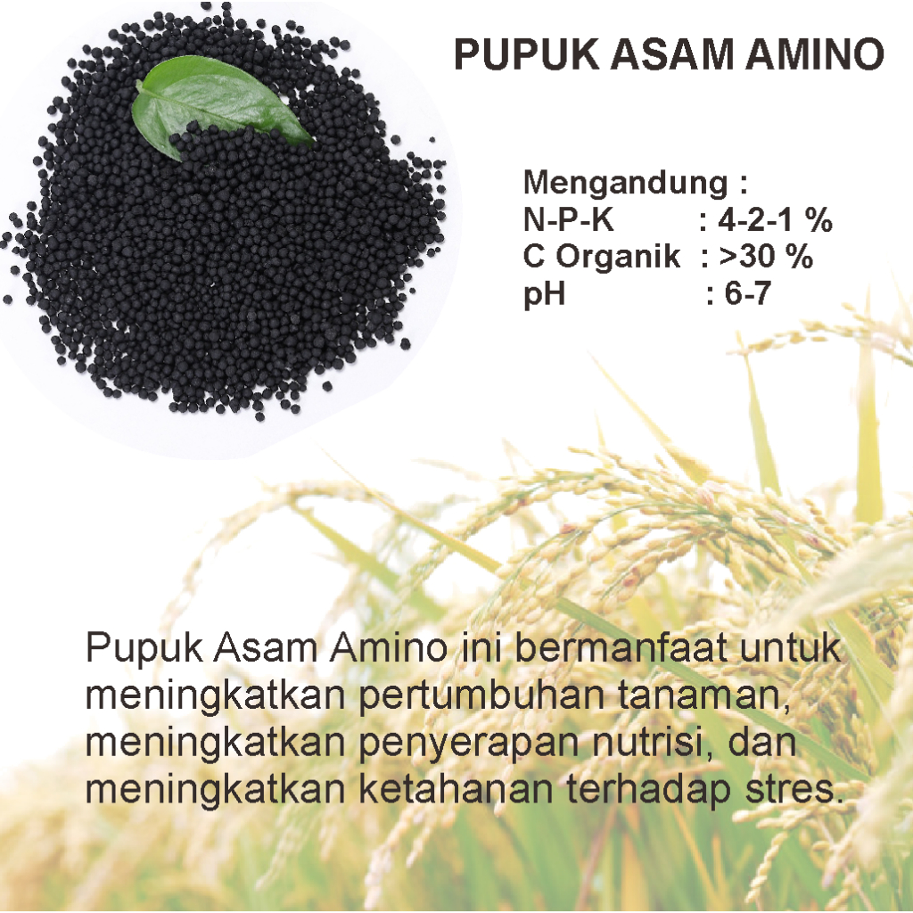 Pupuk Organik Asam Amino ( Amino Acid Fertilizer )