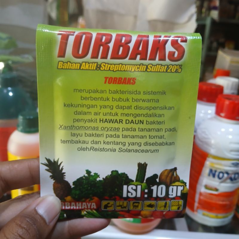 Fungisida Bakterisida TORBAKS Mengendalikan Hawar Daun Padi
