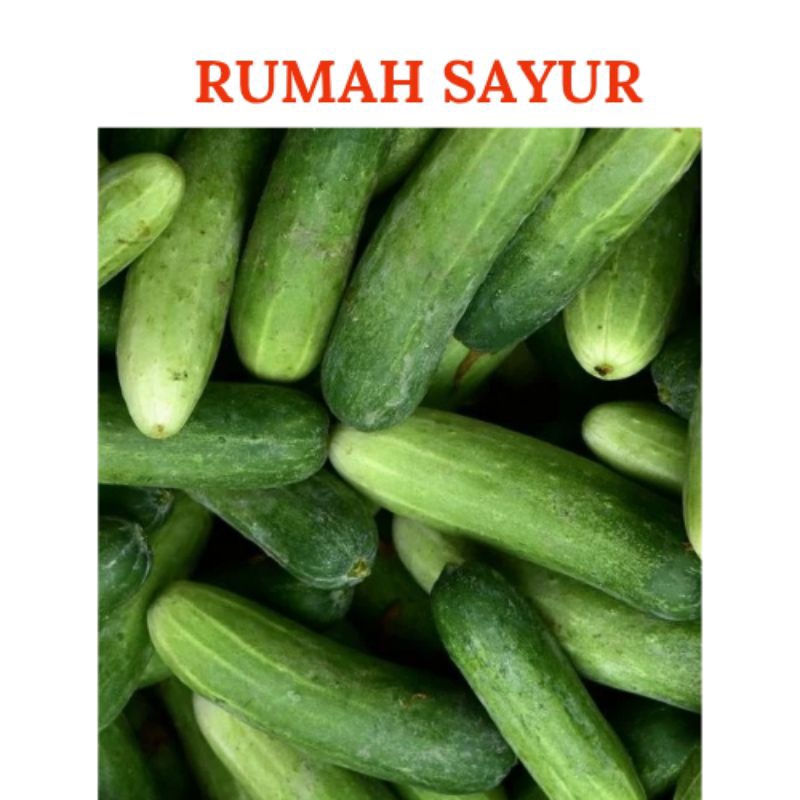 

Timun per 250gr