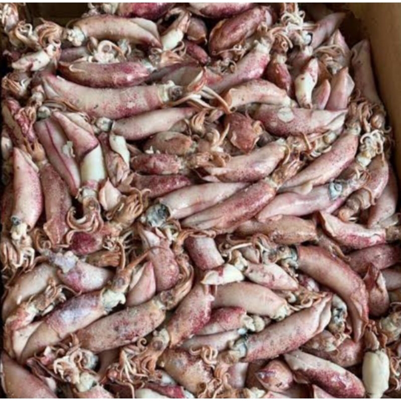

cumi kering 1 kg/cumi sotong setengah kering/cumi premium