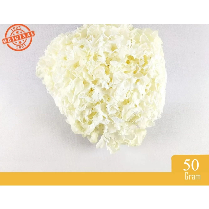 

BAI MU ER (50 gram) / YIN ER / JAMUR PUTIH / DRIED WHITE FUNGUS JAMUR SALJU 100GRAM