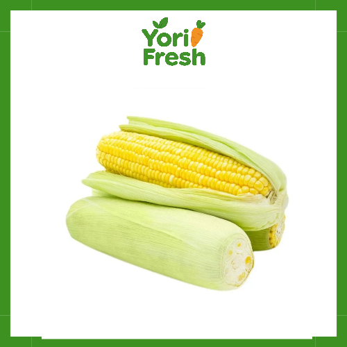 

[INSTAN/SAMEDAY] Jagung manis - 1pcs