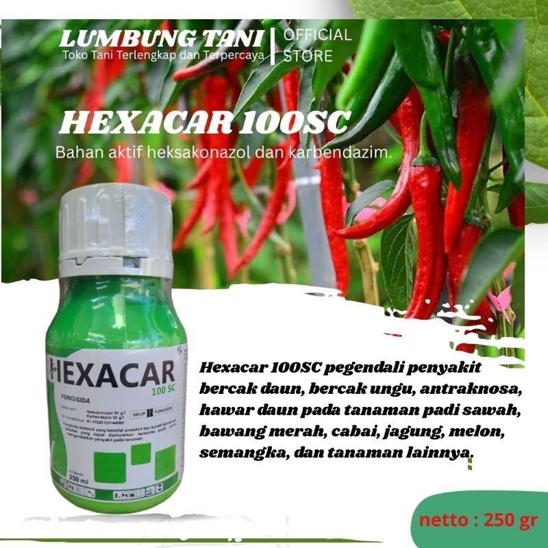 FUNGISIDA HEXACAR 100SC