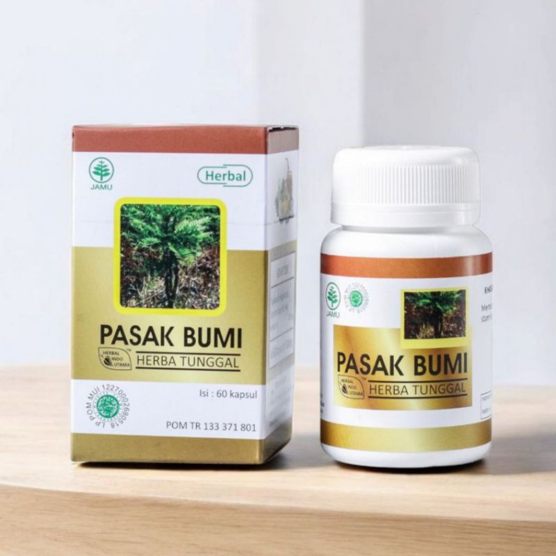 PASAK BUMI  Herbal Indo Utama HIU - Kapsul ekstrak Akar Pasak Bumi