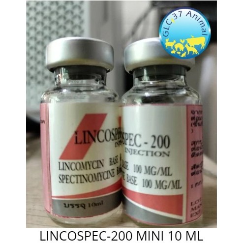 MINI LINCOSPECS LINCOSPEC-200 OBAT SUNTIK INJEKSI BUAT AYAM NGOROK PILEK CRD INFEKSI DLL OBAT INFEKS