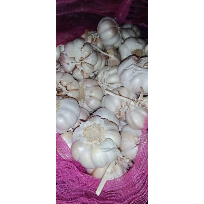 

Bawang putih super 250g, 500g & 1000g /bawang putih berkualitas