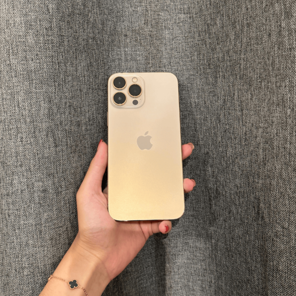 13 Pro Max 256GB Gold Second Inter Kosongan
