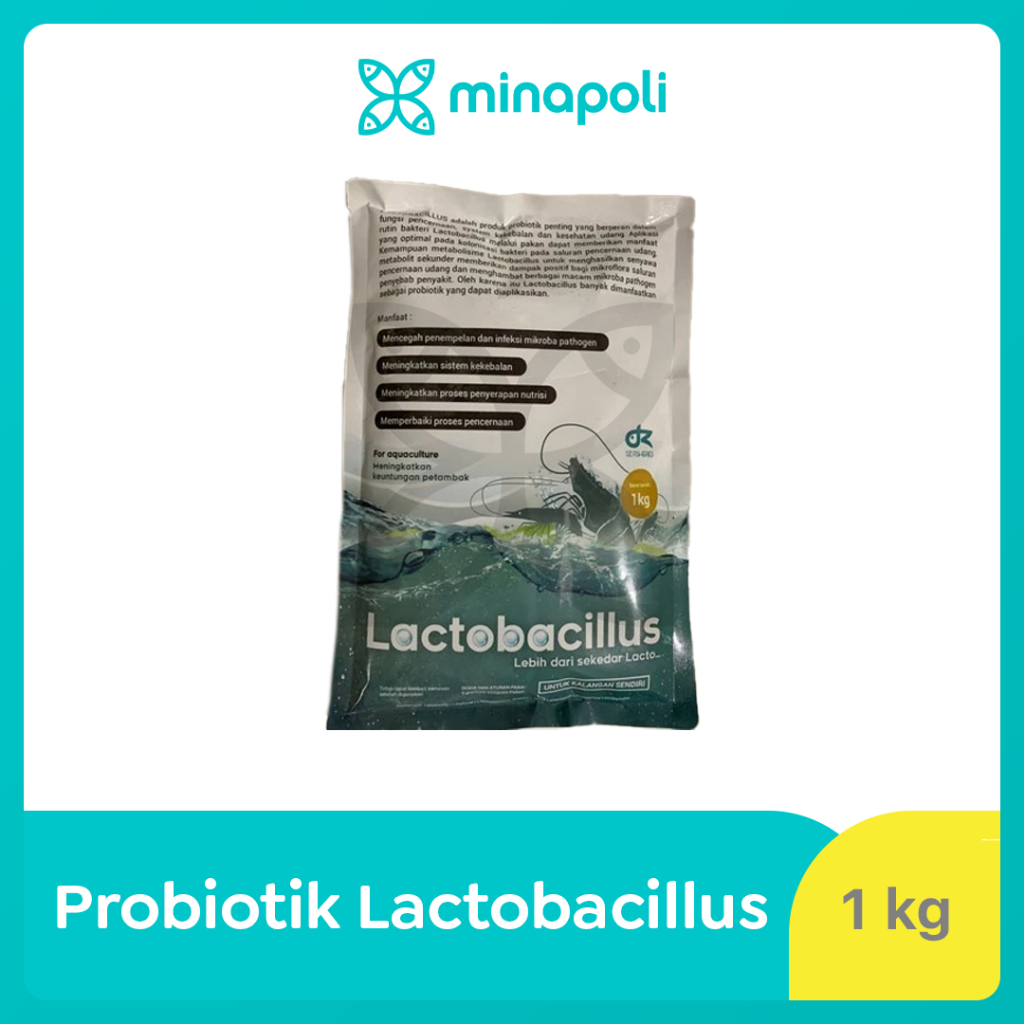 Probiotik Udang dan Ikan Lactobacillus Kemasan 1 kg
