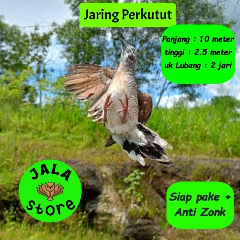 JARING BURUNG PERKUTUT JALA PERKUTUT LOKAL JARING PIKAT KUTUT JARING JEBAK PERKUTUT JALA JEBAK JARIN