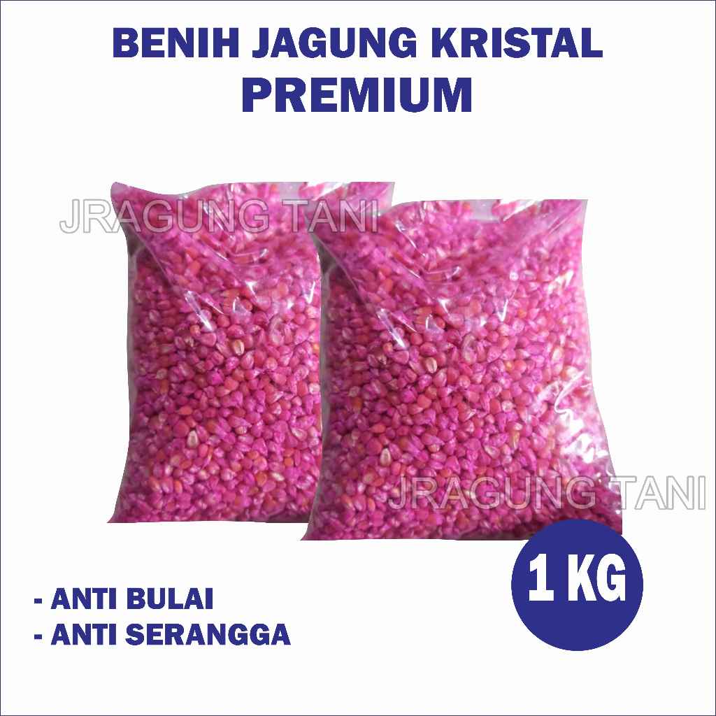 BENIH JAGUNG KRISTAL/UNYIL SUPER 1kg