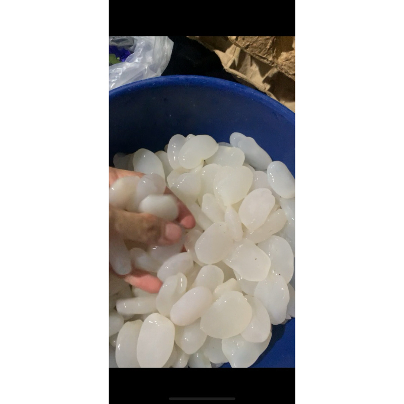 

kolang kaling fresh mentah