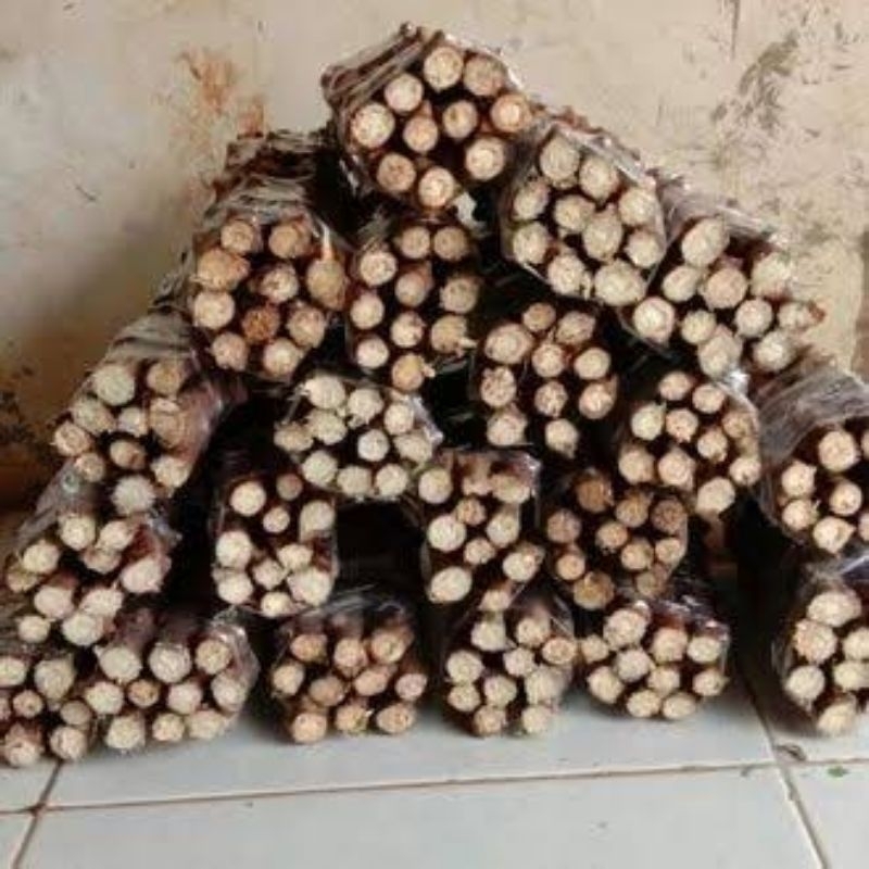

Bibit 10 Batang Singkong Mentega Super