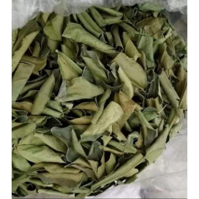 

Daun Kering Jeruk Nipis / Daun Jeruk Nipis Kering Alami