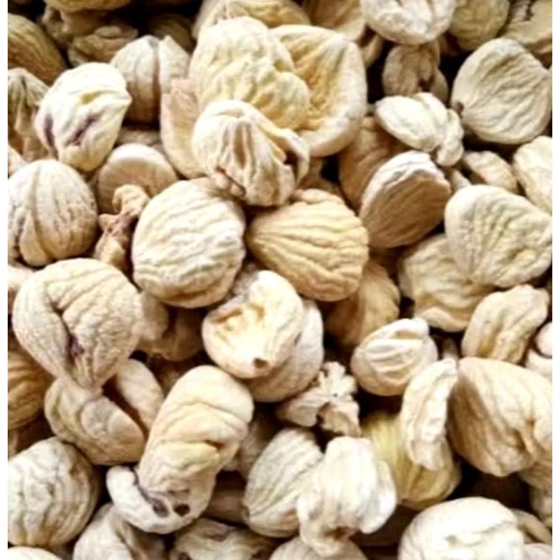 

lakci / kacang lakci chestnut import