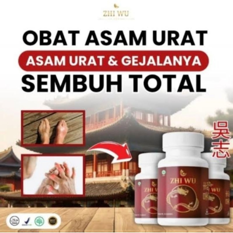 Obat Asam Urat Asli China Zhi Wu Original Zhiwu