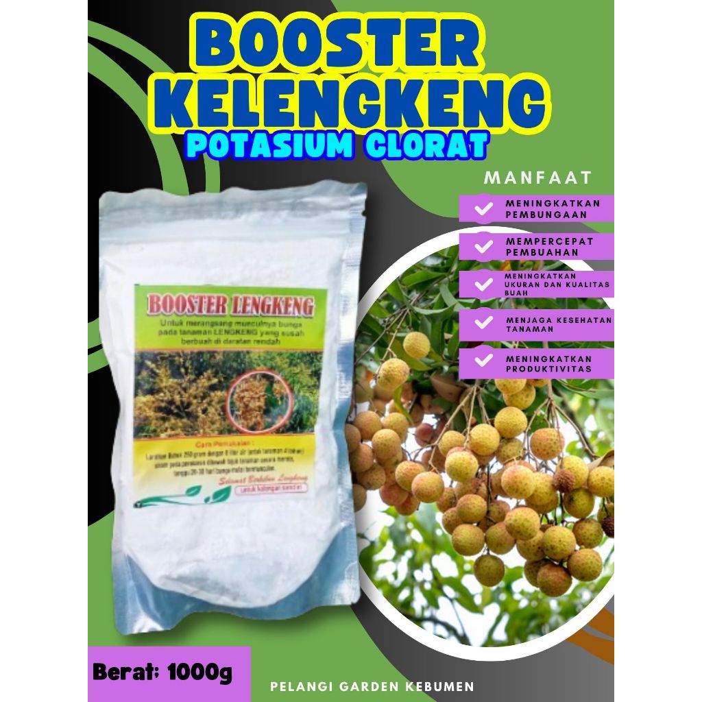 TERBAIK  Booster Kelengkeng Bubuk, Booster Kelengkeng Berbuah, Booster Kelengkeng Berbunga