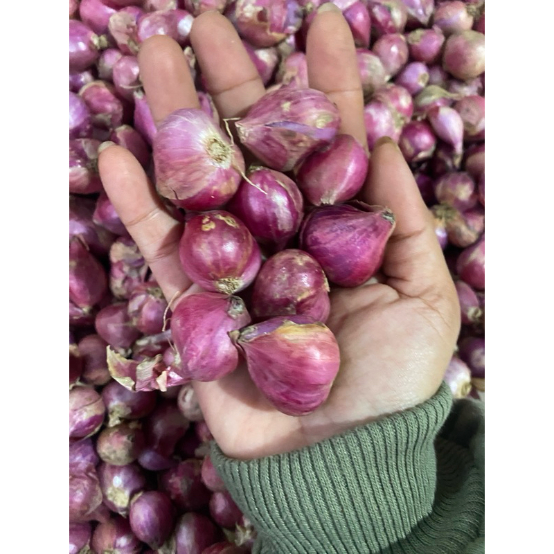 

bawang merah super B kering bersih