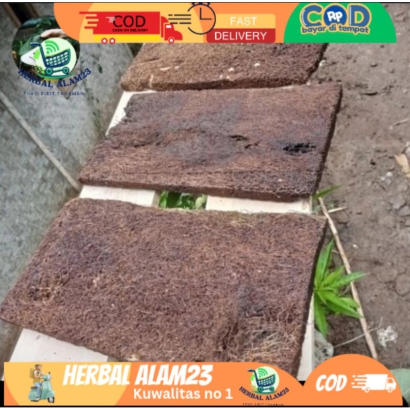 Media Akar Pakis Papan Lempeng 15 x 20 Anggrek Sedang Besar