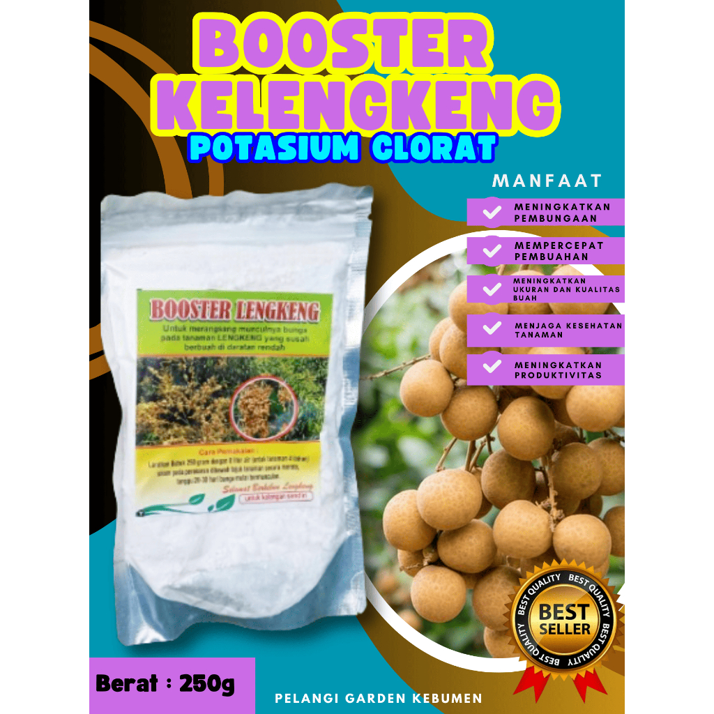 PROMO  Boster Kelengkeng Kcl03 Murni, Boster Kelengkeng Kcl03 Murni Boster Kelengkeng Kristal