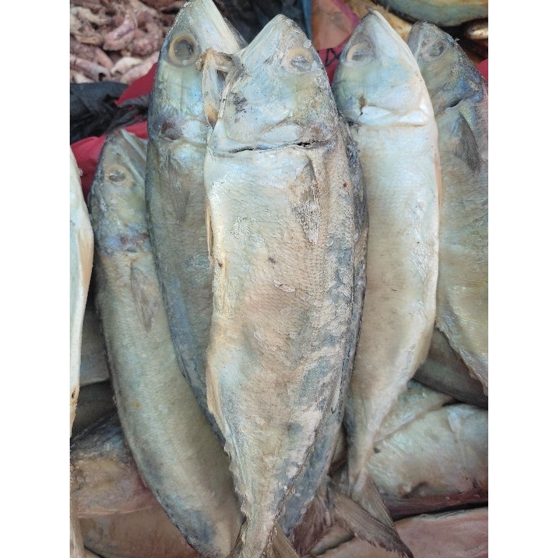 

Ikan pedak 250gram