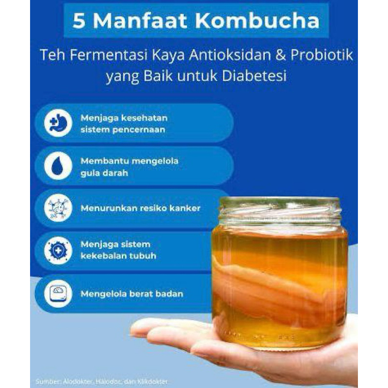 

kombucha Teh Fermentasi Homemade 500ml