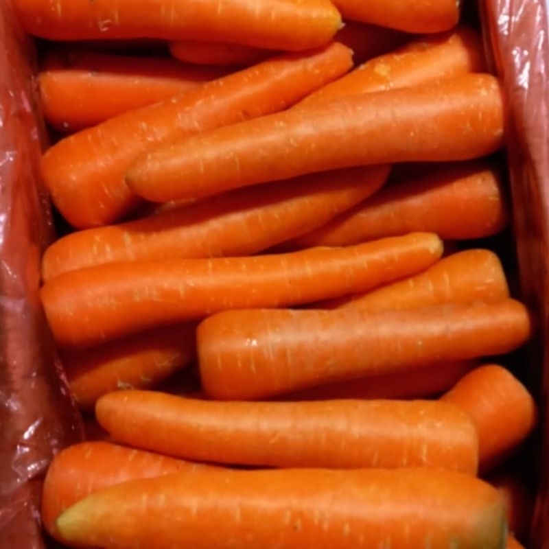 

sayur wortel lokal