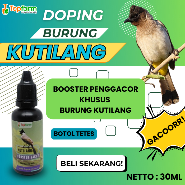 Vitamin Burung Kutilang Cepat Gacor/ Vitamin Booster Burung Kutilang/ Booster Burung Kutilang/ Boost