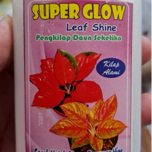 Cairan pengkilap daun / pengkilap daun 100ml / pengkilap daun super glow