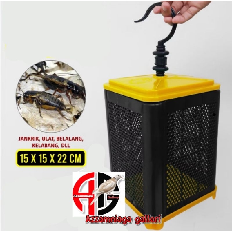 KANDANG JANGKRIK KOTAK KANDANG JANGKRIK BELALANG