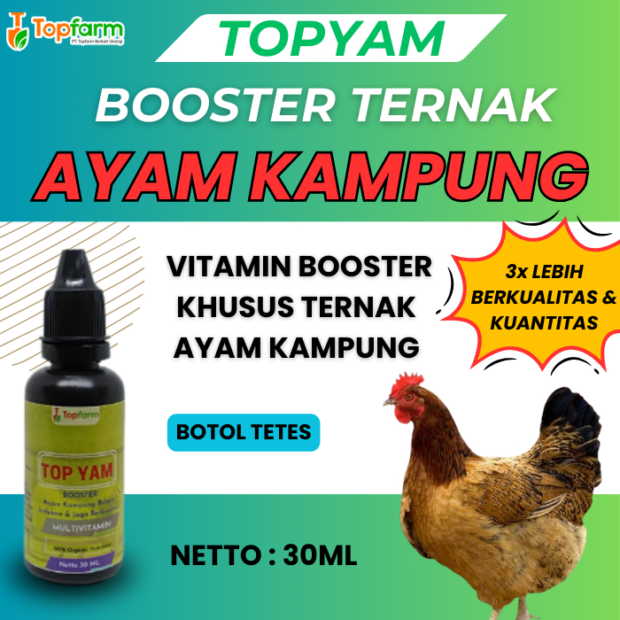 Vitamin Ternak Ayam/ Vitamin Ayam Lebih Sehat/ Vitamin Penggemuk Ayam/ Vitamin Obat Ayam/ Vitamin Ay