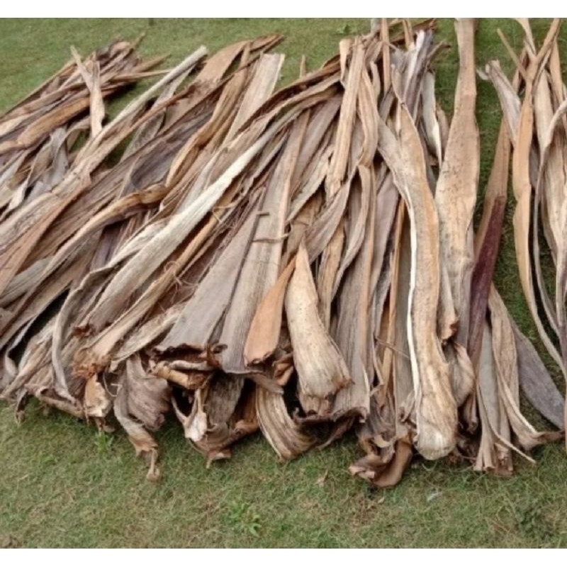 pelepah pisang kering/gedebog pisang