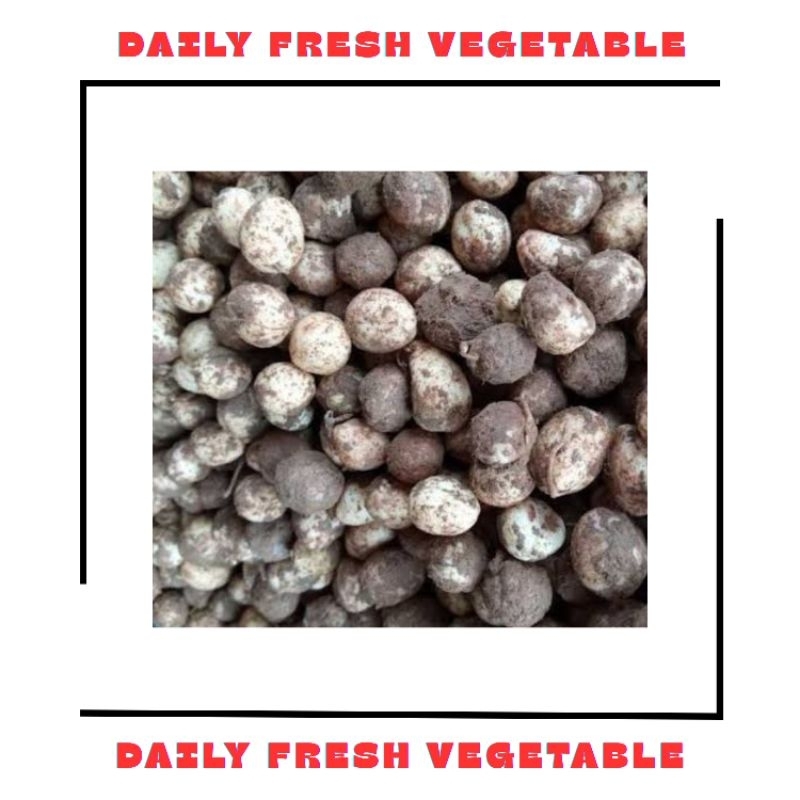 

Kacang Bogor Fresh 500gr