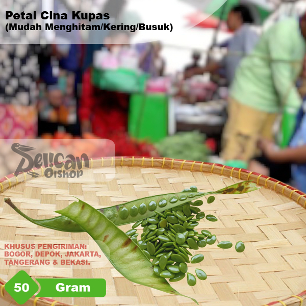

Petai Pete Cina Lamtoro Palending Kupas 50 gram untuk buntilpepes botok sambal