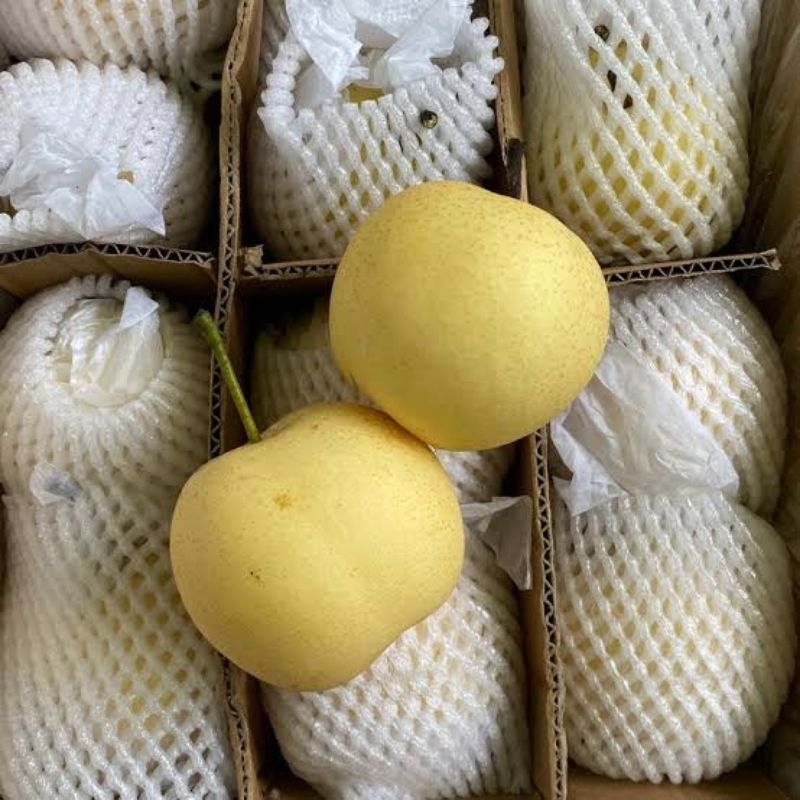

Pear Century Madu 1kg