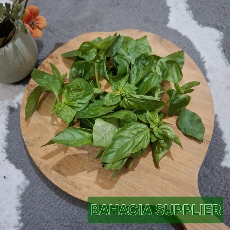 

Basil 100gr / 250gr / 500gr