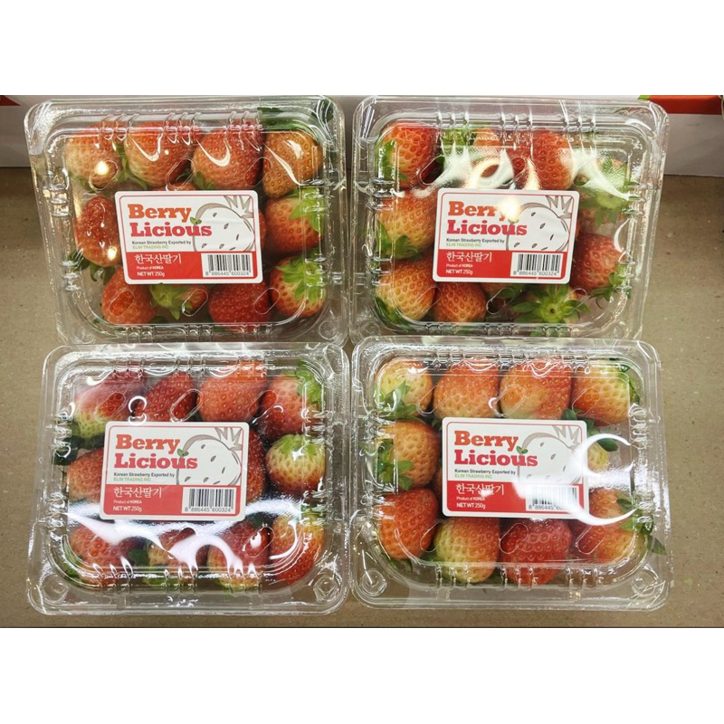 Strawberry korea fresh 250gram
