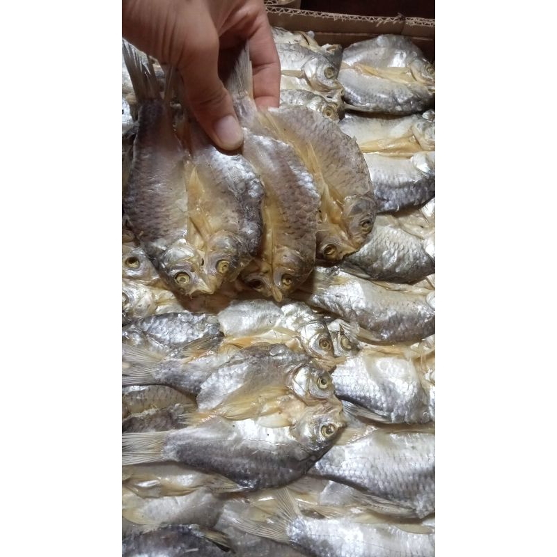 

ikan asin tawes/size sedang/ikan asin kipas