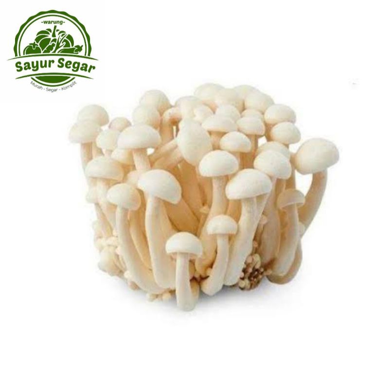 

Jamur Shimeji Putih 150gr - 1 Pack