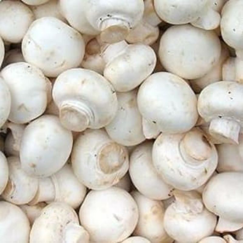

Jamur Kancing / Champignon - 100 Gram