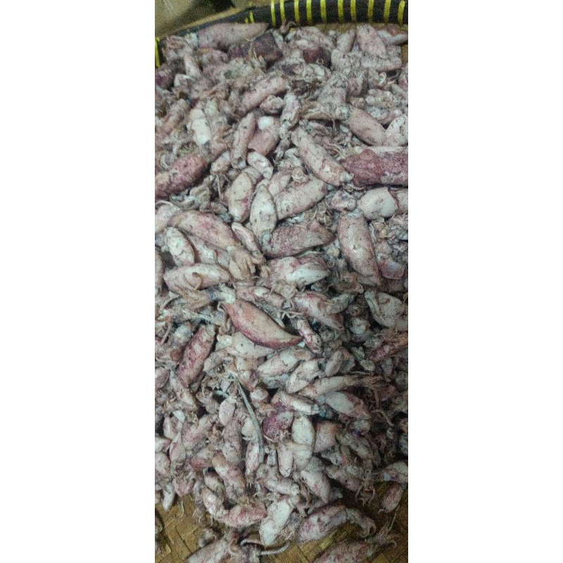 

Cumi Asin Premium 500gram