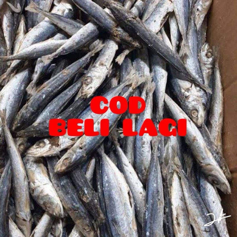 

ikan asin rebus 500gram segar fresh