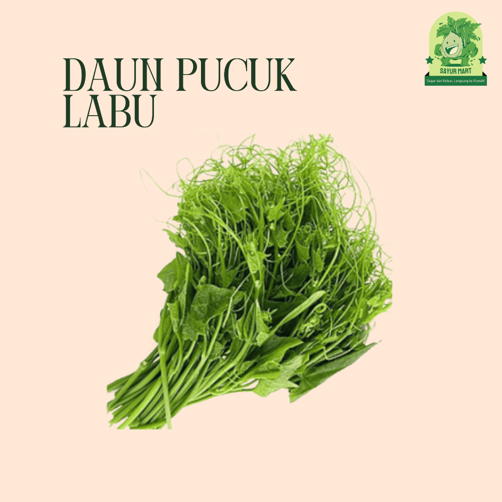 

Daun Pucuk Labu