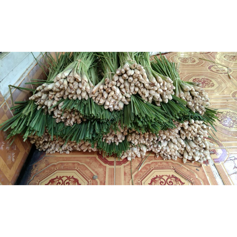 

SEREH DAPUR SEGAR ALAMI