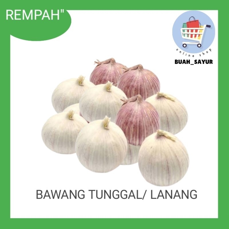 

Bawang putih tunggal besar /Bawang tunggal 100gr