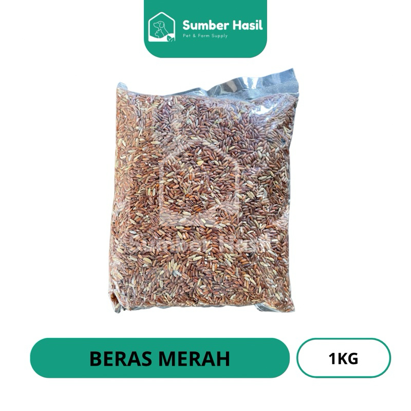 BERAS MERAH 1KG PAKAN BURUNG BERAS MERAH MAKANAN BURUNG 1KG