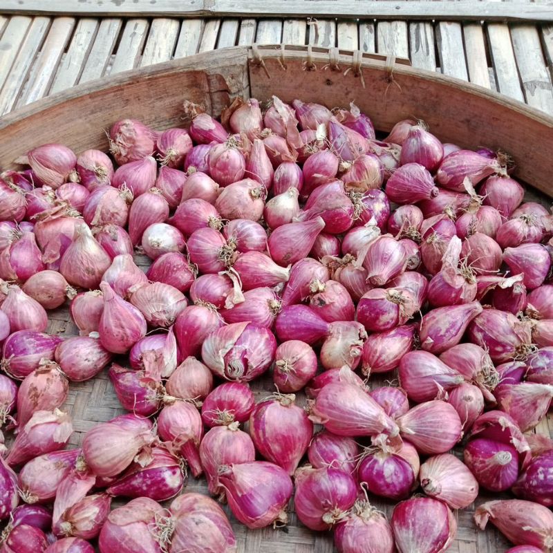 

Bawang merah besar kering kualitas bagus 1kg