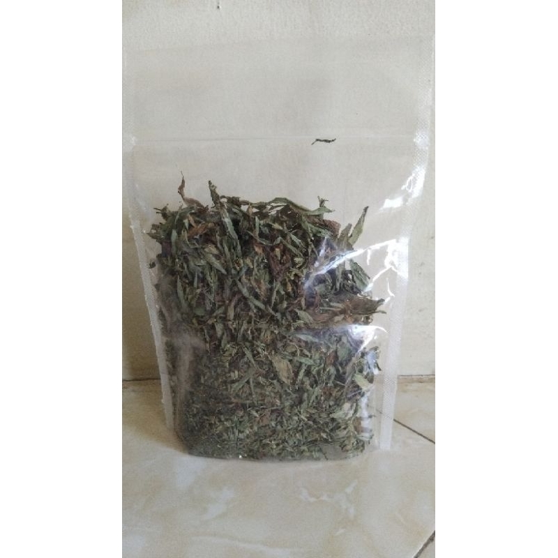 

Daun teh STEVIA Kering || Pemanis Alami