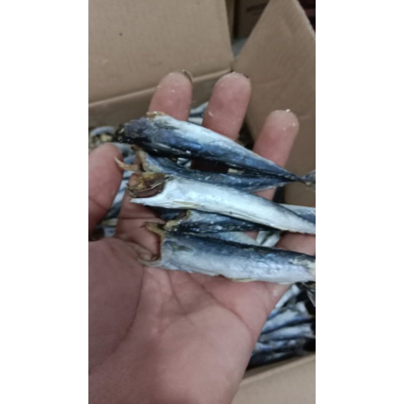 

ikan asin rebus anakan tongkol