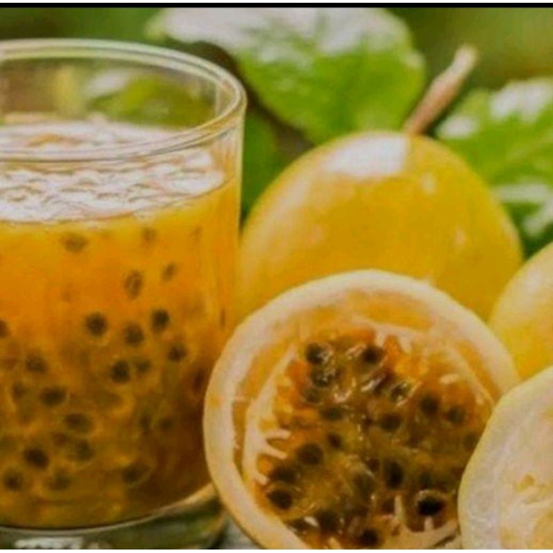 

Buah markisa kuning segar 1kg